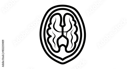 Minimalist black outline icon of a walnut kernel.