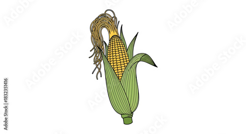 Illustration of a fresh ear of corn with green leaves and silk