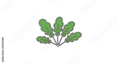Illustration of a bunch of arugula on a white background.