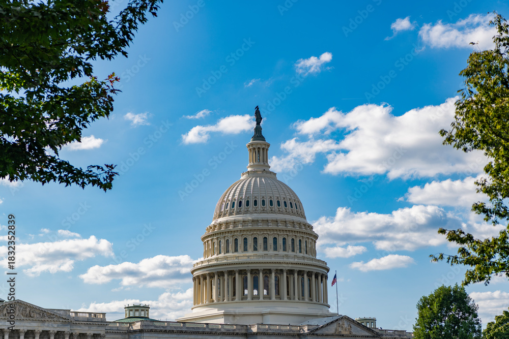 Obraz premium United states Capitol. Capitol building. The Capitol building in Washington. Architecture view on dome with column. Famous Capitol in Washington DC. Washington DC landmark. Senate and House