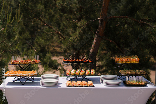 Catering banquet table at reception. Restaurant presentation, european cuisine, food consumption, party concept. Food styling, appetizers bar, welcome drink, event design.