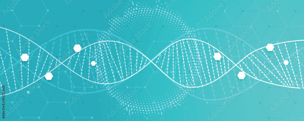 Obraz premium Futuristic medical background, DNA strands, connected neural web