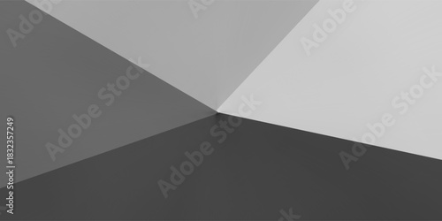 Abstract white and gray triangle vector background. texture white pattern