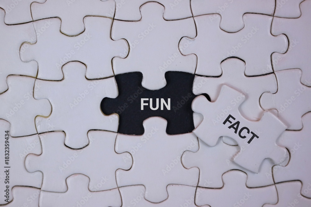 Fototapeta premium A close-up of interlocking puzzle pieces, featuring a black piece labeled FUN and a white piece labeled FACT. It symbolizes curiosity, learning, and concepts in business.