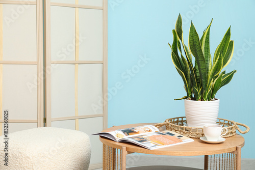 Coffee table with plant, ma...