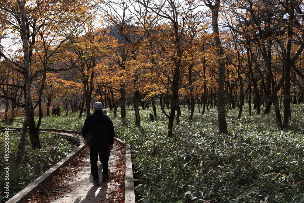 Fototapeta premium 覚満淵