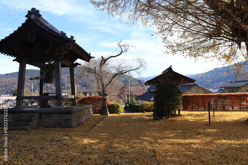 薬王寺薬師堂の大いちょう