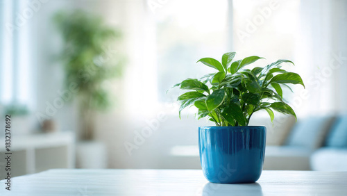 A vibrant green potted plant in a blue ceramic pot sits on a white table, brightening a blurred, sunny indoor background.