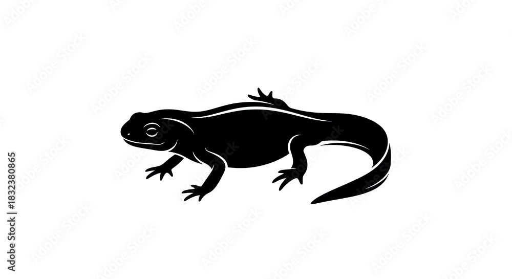 Naklejka premium Black Silhouette of a Newt or Salamander on a White Background.