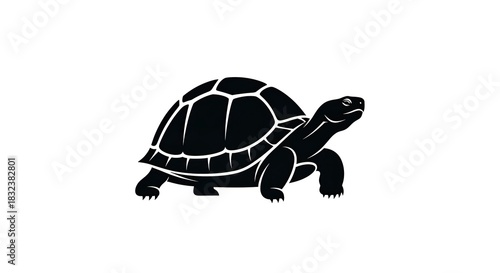 Black turtle silhouette on white background, nature and wildlife.
