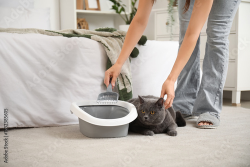 Owner cleaning cat's litter...