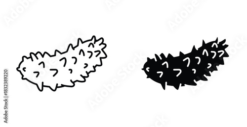 Sea cucumber icon graphic design. Vector icon illustrations