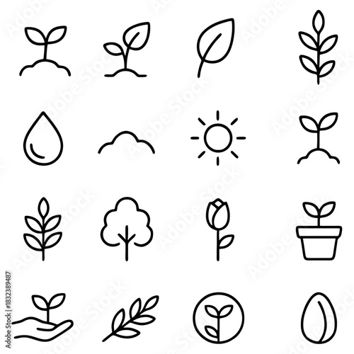 Nature's Blueprint: An artistic linear representation of plant life, showcasing the fundamental elements required for growth and vitality.