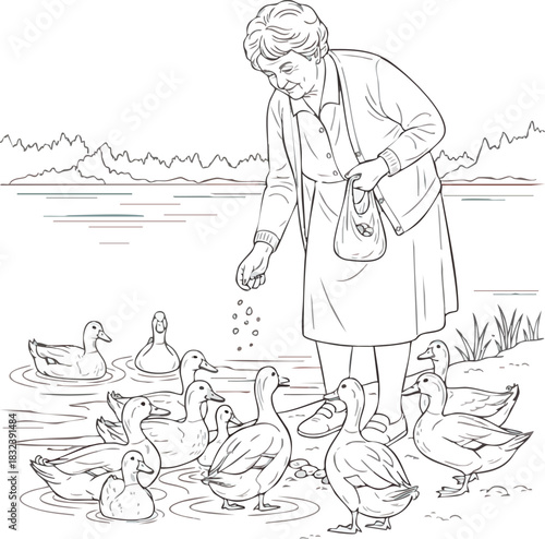 Elderly woman feeding a flock of ducks by the waters edge.