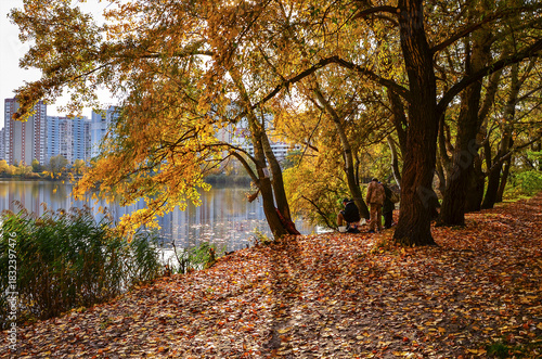 Wallpaper Mural City lake in Kyiv in autumn. Ukraine Torontodigital.ca