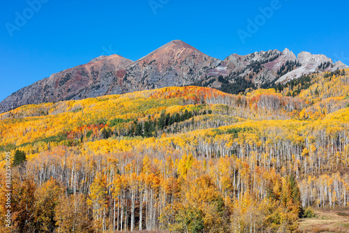 Fall colors in the Rocky Mountains from Kebler Pass, Colorado