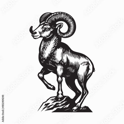 Majestic Mountain Goat Silhouette for Nature and Wildlife Themes image vector