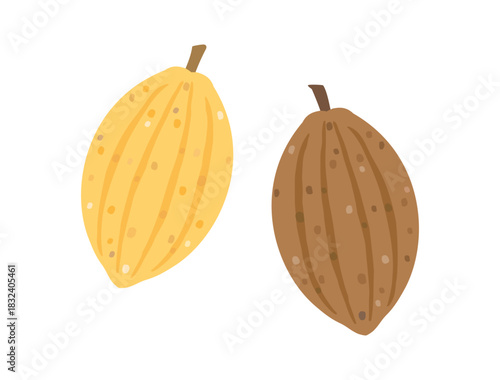 カカオの実をイメージしたイラスト
