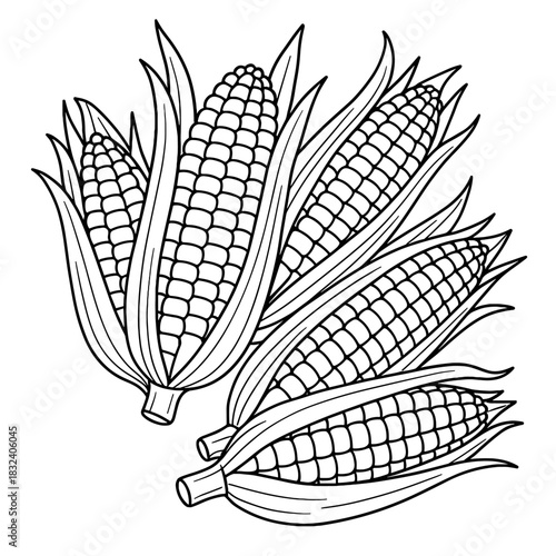 Cornucopia of Golden Kernels: An intricate black and white illustration depicts a bounty of ripe corn on the cob, capturing the essence of the harvest season and the abundance of nature's gifts.