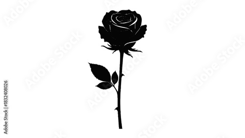 Vector illustration of black silhouette of a single rose flower with stem and leaves isolated on transparent background