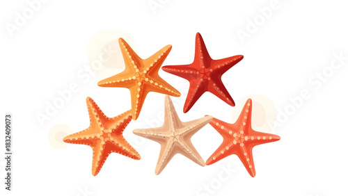 Elegant Starfish Illustration on White Background