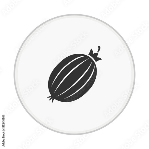 vector illustration of a ripe melon