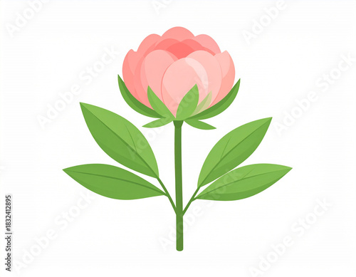 Pink Flower with Green Leaves on White Background – Simple Botanical Floral Illustration 