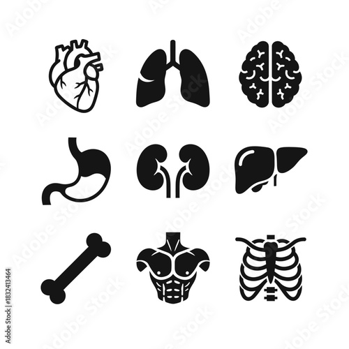 Medical Organ Icon Set Featuring Lungs, Brain, Heart, Liver, Kidneys, and Digestive System Elements