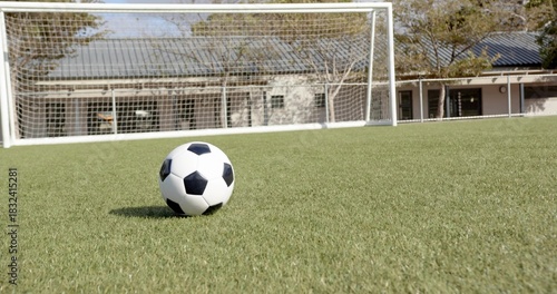 Resting classic soccer ball sitting on short grass at school pitch, with white goal