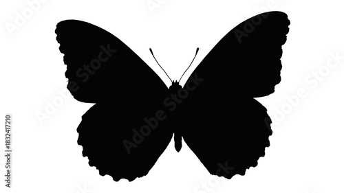 Elegant butterfly silhouette for nature designs and graceful wildlife themes, perfect for creative projects