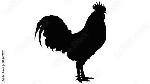 Striking rooster silhouette, a bold design element for farms and rustic themes, perfect for logos