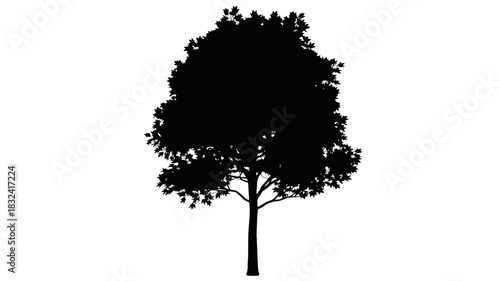 Stunning tree silhouette with intricate branches perfect for nature designs and artistic compositions