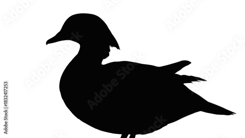 Elegant silhouette of a duck, perfect for nature designs and conservation themes, clean and simple style