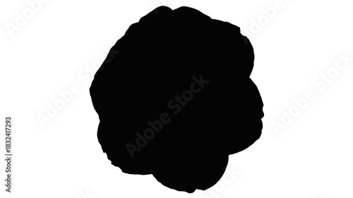 Abstract black cloud shape for design overlays, atmospheric effects, mysterious dark concept, spooky