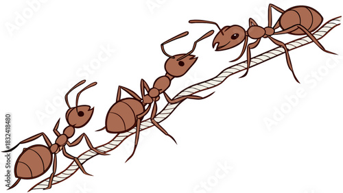 Three cartoon ants walking along a rope with detailed legs and antennae on a white background space