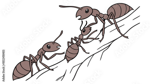 Illustration of three ants crawling on a branch with detailed features and clear outlines shown here
