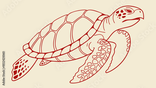 Illustration of a sea turtle with detailed shell and flippers in red outline on a light background