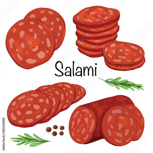 Hand drawn Salami food illustration