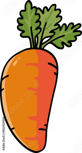 당근,채소,주황,신선한,자연,carrot,zanahoria,당근 svg,svg,당근 일러스트,귀여운 당근,당근 그림
