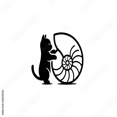 Curious Cat and Nautilus Shell