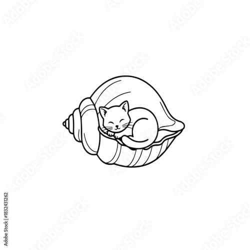 Cat in Seashell