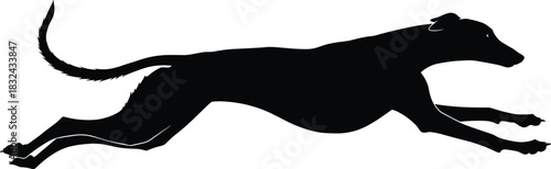 Sleek Black Silhouette Vector Illustration of a Greyhound or Sighthound Running at Full Speed, Ideal for Dog Racing, Pet Store Logos, Speed, and Athletic Graphics Design