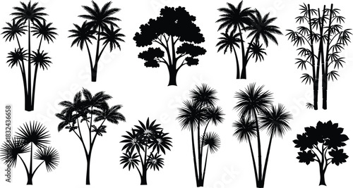 Black Silhouette Vector Set of Various Tropical Trees and Exotic Plants, Including Palm Trees and Bamboo, Ideal for Summer, Beach, Jungle, and Nature Landscape Design Graphics