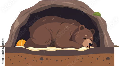 A brown bear is sleeping peacefully inside its cozy den, nestled in the earth.