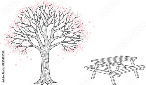Blossoming spring tree with delicate pink petals beside wooden picnic table, detailed nature scene line art, outdoor park illustration, relaxing landscape vector artwork