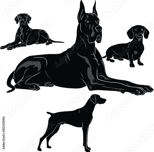 Collection of detailed dog breed vector illustrations featuring Great Dane, Dachshund and Pointer silhouettes, realistic black artwork for pet design, branding, decoration and educational use