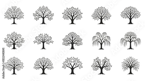 Collection of Tree Silhouettes with Detailed Branches and Leaves.