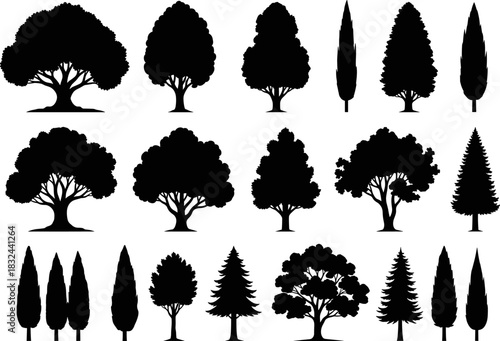 Collection of diverse tree silhouettes featuring various shapes, foliage styles, and species, designed for landscape illustrations, nature artwork, environmental themes, and botanical vector projects