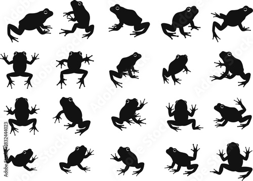 Black frog silhouette vector illustration set, amphibian animal design collection, wildlife graphic elements, nature symbol artwork, jumping frog pose vector concept