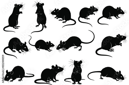 Black rat and mouse silhouette vector collection, detailed rodent animal poses illustration, pest wildlife design, isolated white background, realistic vector art